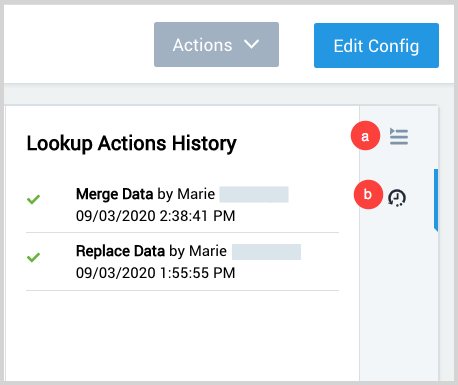 lookup-actions-history.png