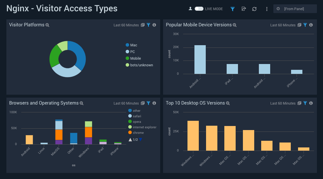 Nginx-VisitorAccessTypes